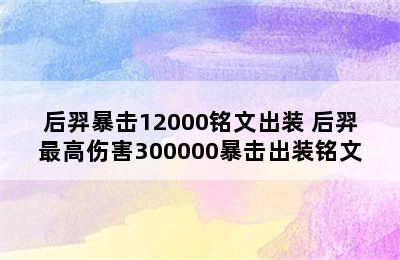 后羿暴击12000铭文出装 后羿最高伤害300000暴击出装铭文